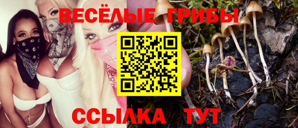Галлюциногенные грибы MAGIC MUSHROOMS  Вход с VPN  Тосно 
