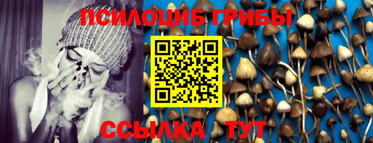 Галлюциногенные грибы Psilocybine cubensis Тосно